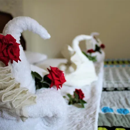 酒店 Le Moral 阿拉尼亚